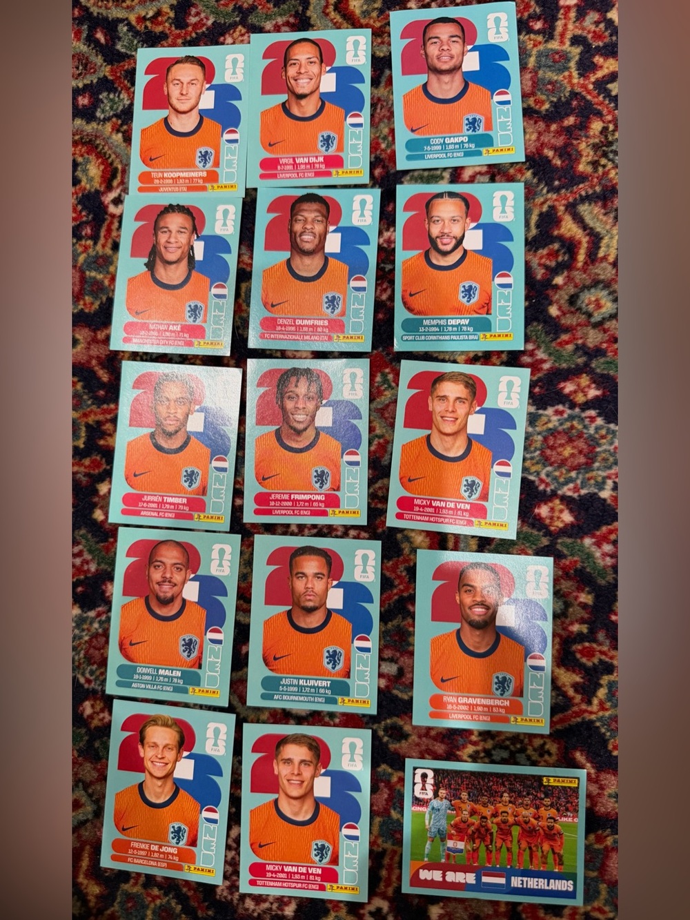 WORLD CUP 2026 PANINI STICKER  NEDERLAND SOCCER   TEAM. LOT OF 15 STICKERS. BRAS